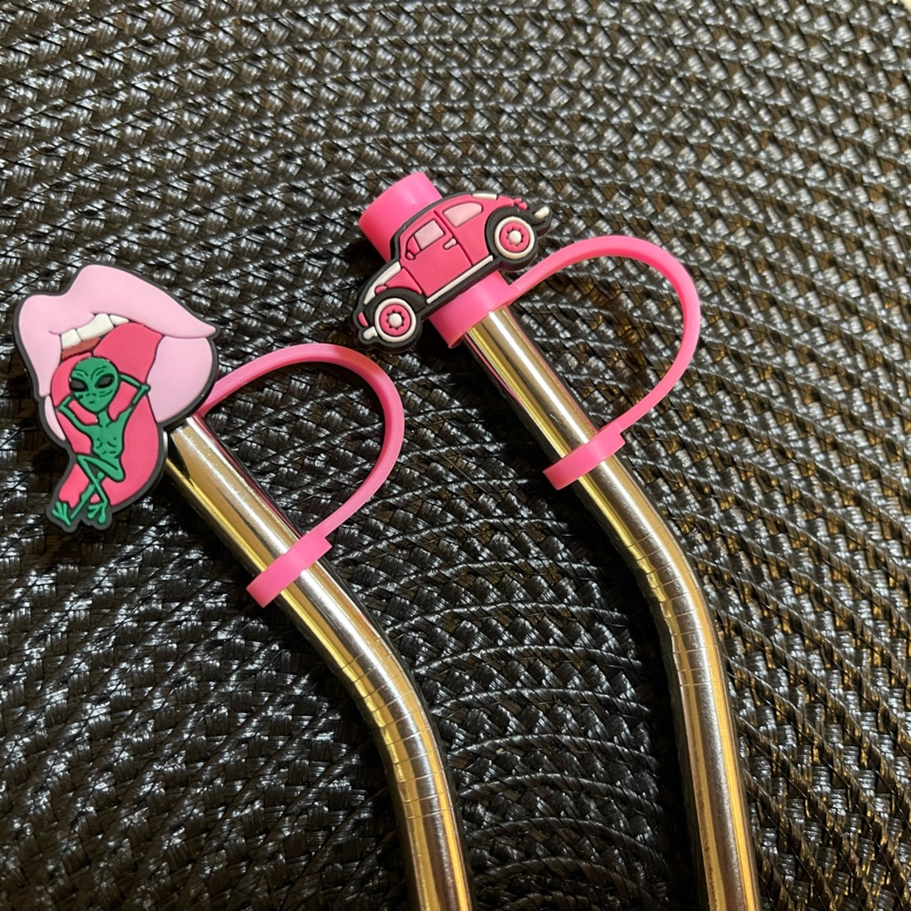 *Set of 10* Stainless Steel Straws and Fun Silicone Straw Toppers